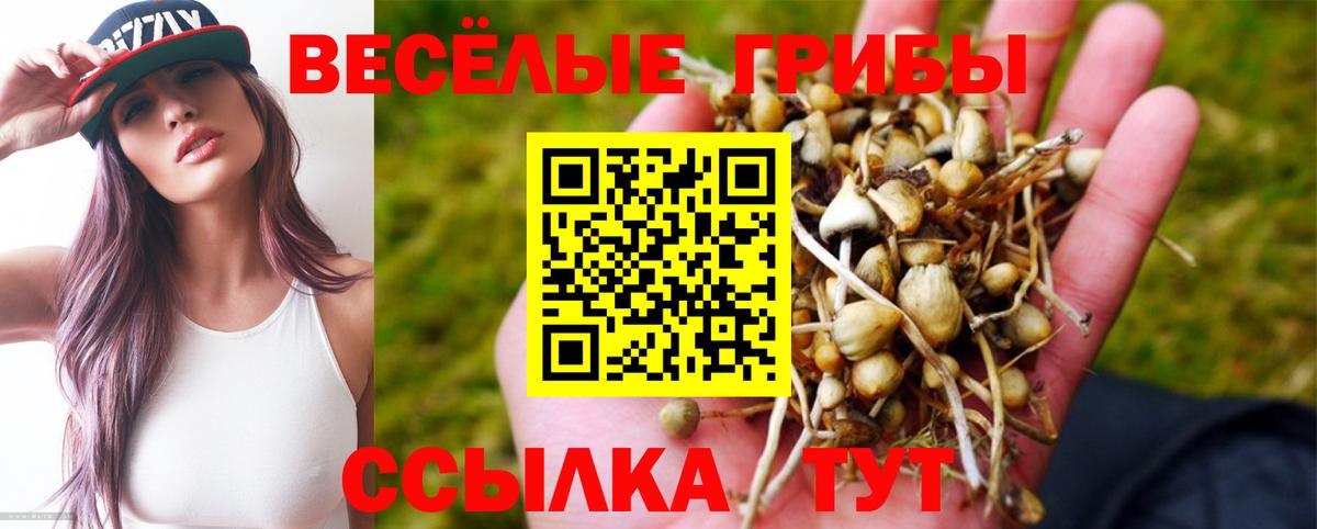 магазин  наркотиков  Псилоцибиновые грибы Psilocybe  Вход с VPN  Крымск 